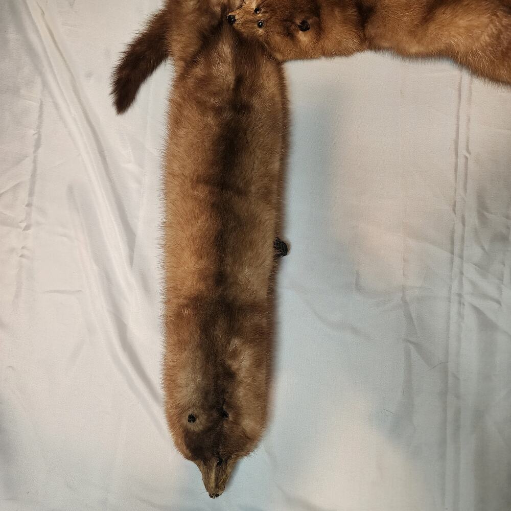 Vintage 5 Mink Fur Stole Pelts Scarfs Heads Full Body Taxidermy 1940s 1950s - Picture 7 of 9